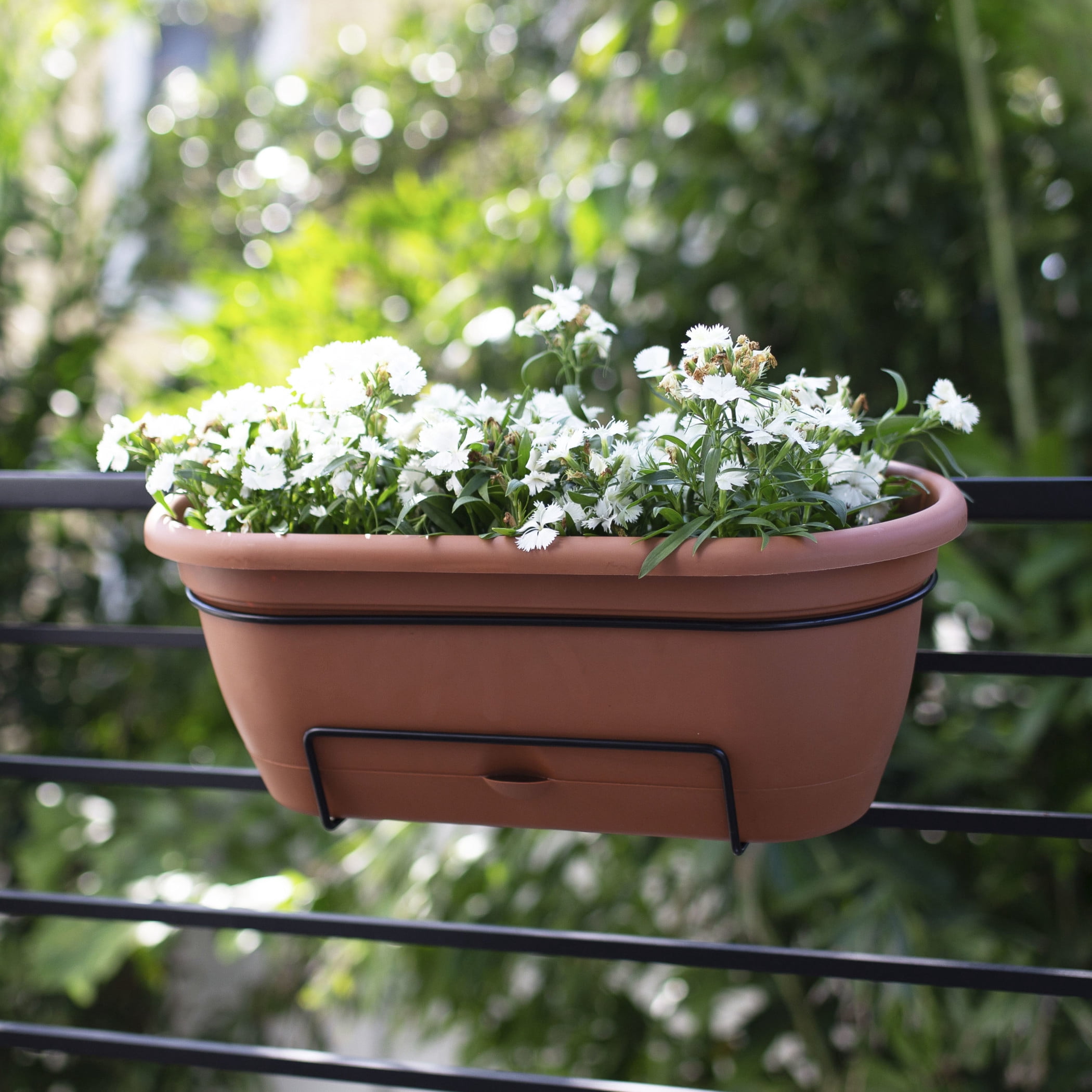 Bloem Lucca 18" Plastic Self-Watering Balcony Box Planter with Metal Hanger Mount for Railings, Terra Cotta