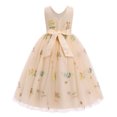 thumbnail image 2 of IDOPIP Embroidery Flower Girl Lace Tutu Dress for Kids Wedding Pageant Birthday Party First Communion Dresses Princess Bridesmaid Ball Maxi Gown 9-10 Years Apricot Floral, 2 of 5