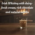 thumbnail image 3 of Ryans Irish Cream Liqueur, 1.75L, 34 Proof (17% ABV), 3 of 4