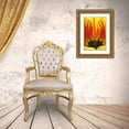 thumbnail image 3 of Paulson, Don 17x24 Gold Ornate Wood Framed with Double Matting Museum Art Print Titled - Detail of Rembrandt tulip flower, 3 of 4