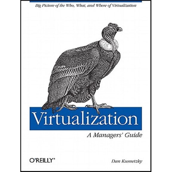 Pre-Owned Virtualization: A Manager's Guide: Big Picture of the Who, What, and Where of Virtualization (Paperback)