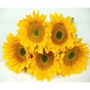 Sunflower Bunches