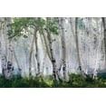 thumbnail image 2 of Jones, Mike 24x17 White Modern Wood Framed Museum Art Print Titled - Up In The Clouds, 2 of 4