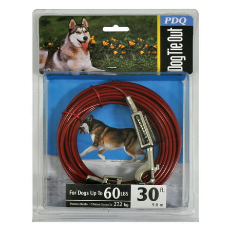 PDQ 30' Large Dog Tie-Out with Spring up to 60lbs