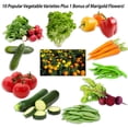 thumbnail image 2 of Heirloom Vegetable Seed Variety Pack by Eretz  10 Popular Varieties Plus Bonus Flowers and Plant Markers!  100% USA Sourced, Grown, and Packaged. Premium, Non GMO, Fresh Garden Seeds  Indoor or Out, 2 of 6
