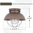 thumbnail image 3 of sea gull lighting 8869-44 sebring one-light outdoor flush mount ceiling light with clear seeded glass diffuser, weathered copper finish, 3 of 5