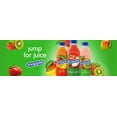 thumbnail image 3 of Snapple Juice Drink Variety Pack, All Natural, 16 fl. oz. - (9 Count ), 3 of 3