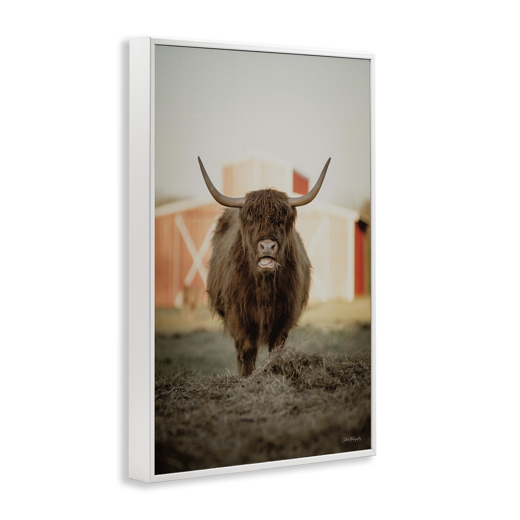 Stupell Industries Cattle on Farm Field Animals & Insects Photography White Framed Art Print Wall Art, 20 x 30