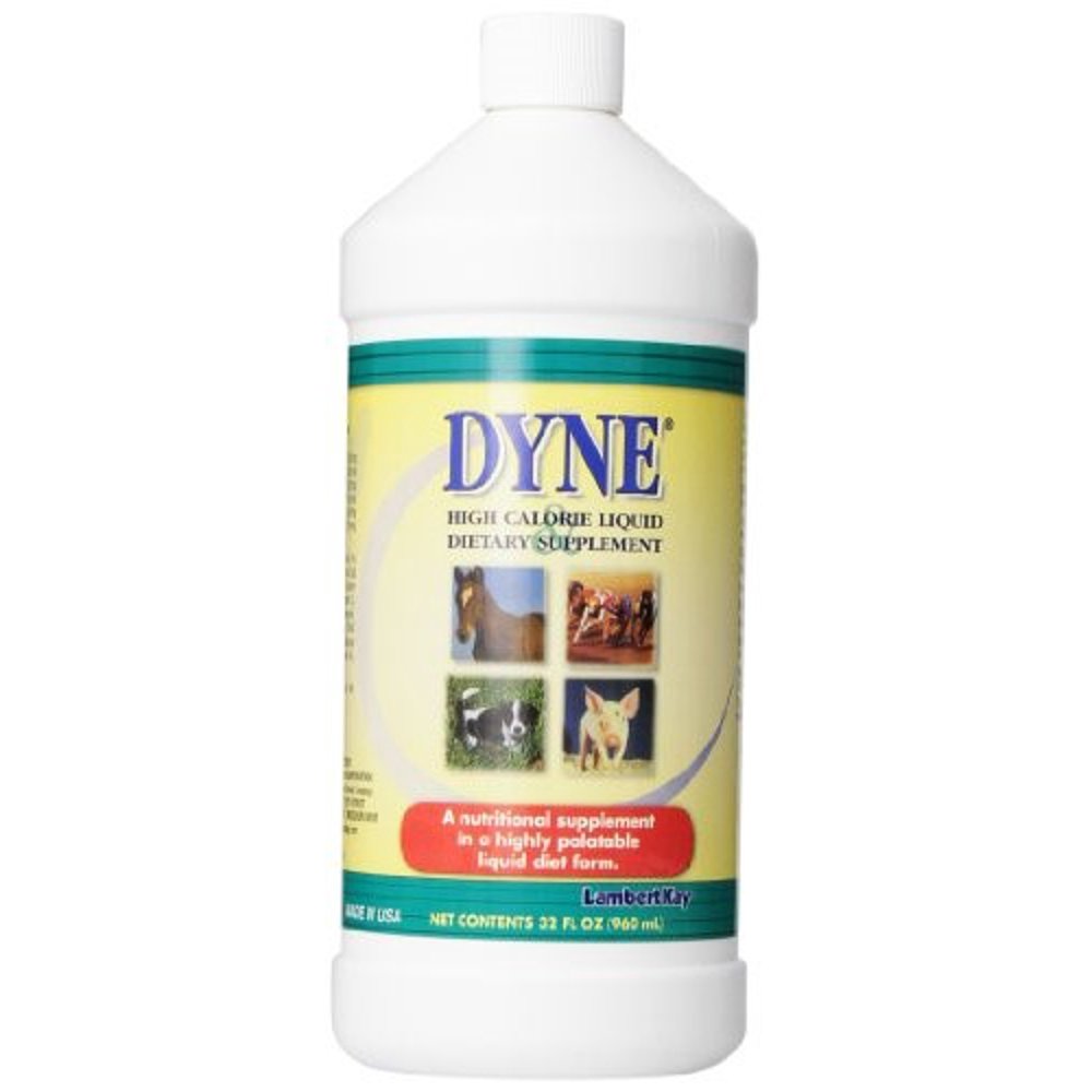 Dyne High Calorie Liquid Horse & Dog Animal Supplement, 32 Oz Walmart
