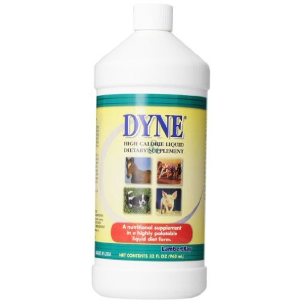 Dyne High Calorie Liquid Horse & Dog Animal Supplement, 32 Oz Walmart