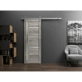 thumbnail image 3 of Sturdy Barn Door 36 x 96 inches | Quadro 4088 Nebraska Grey with Frosted Glass | Stainless Steel 6.6FT Rail Hangers Heavy Set | Solid Panel Interior Doors, 3 of 5
