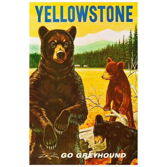 Yellowstone - Greyhound Bus Line - 1960s Vintage US Travel Poster (8x12Inches(US/CANOnly))