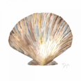 thumbnail image 2 of Dyer, Beverly 26x26 Gold Ornate Wood Framed with Double Matting Museum Art Print Titled - Sea Shell Neutral 2, 2 of 4