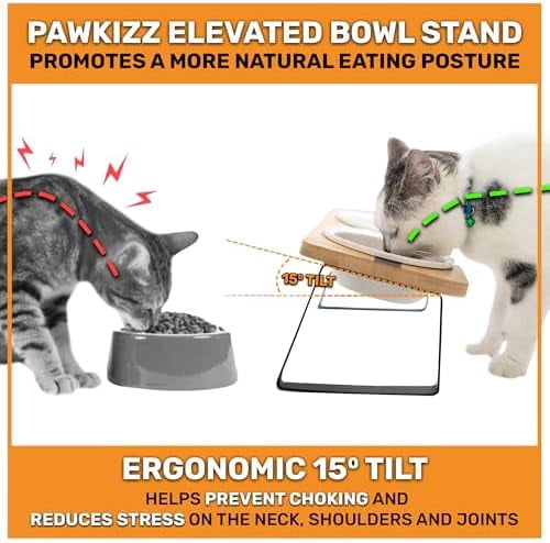 Elevated Cat Bowl Stand for Food and Water – Anti-Vomit Raised Feeding Station with Tilted Stand – Removable Round Ceramic Bowls, Anti Slip Bamboo Base, Dishes for Cats, Kitten, Small Dogs & Puppies