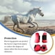 thumbnail image 3 of Yuarrent Suministros ecuestres Equipo de protección frontal ligero resistente al desgaste con sujetador de nylon Buena elasticidad Legging Tightness Cuidado ecuestre y deportes Azul SG Yuarrent OD025315-04, 3 of 6