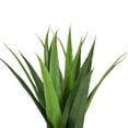 thumbnail image 2 of 17" Artificial Agave Succulent in a Golden Pot, 2 of 4