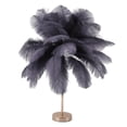 thumbnail image 1 of Lampe de Table à Plumes Ostrich, 30 Pcs Plumes 3 Couleurs Réglables Sans Fil Rechargeable par USB avec Contrôle Tactile, Lampe de Chevet Décorative Moderne avec Ampoule Incluse pour Chambre et Salon, 1 of 8