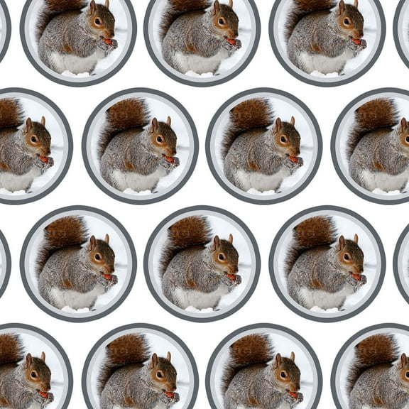 Squirrel Eating in Winter Premium Gift Wrap Wrapping Paper Roll