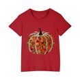 thumbnail image 2 of hengsof Basic Short Sleeve Graphic T-shirts for Toddlers and Children, 2 of 4