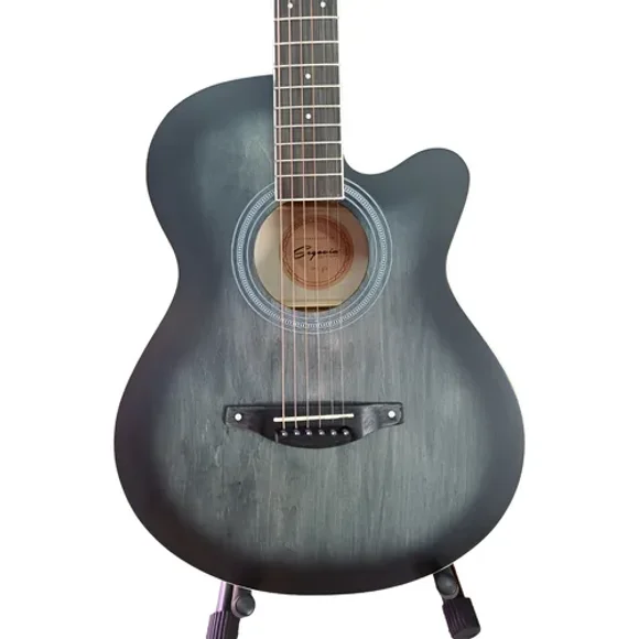 Guitarra E/acustica Texana Segovia Sgfh0bk