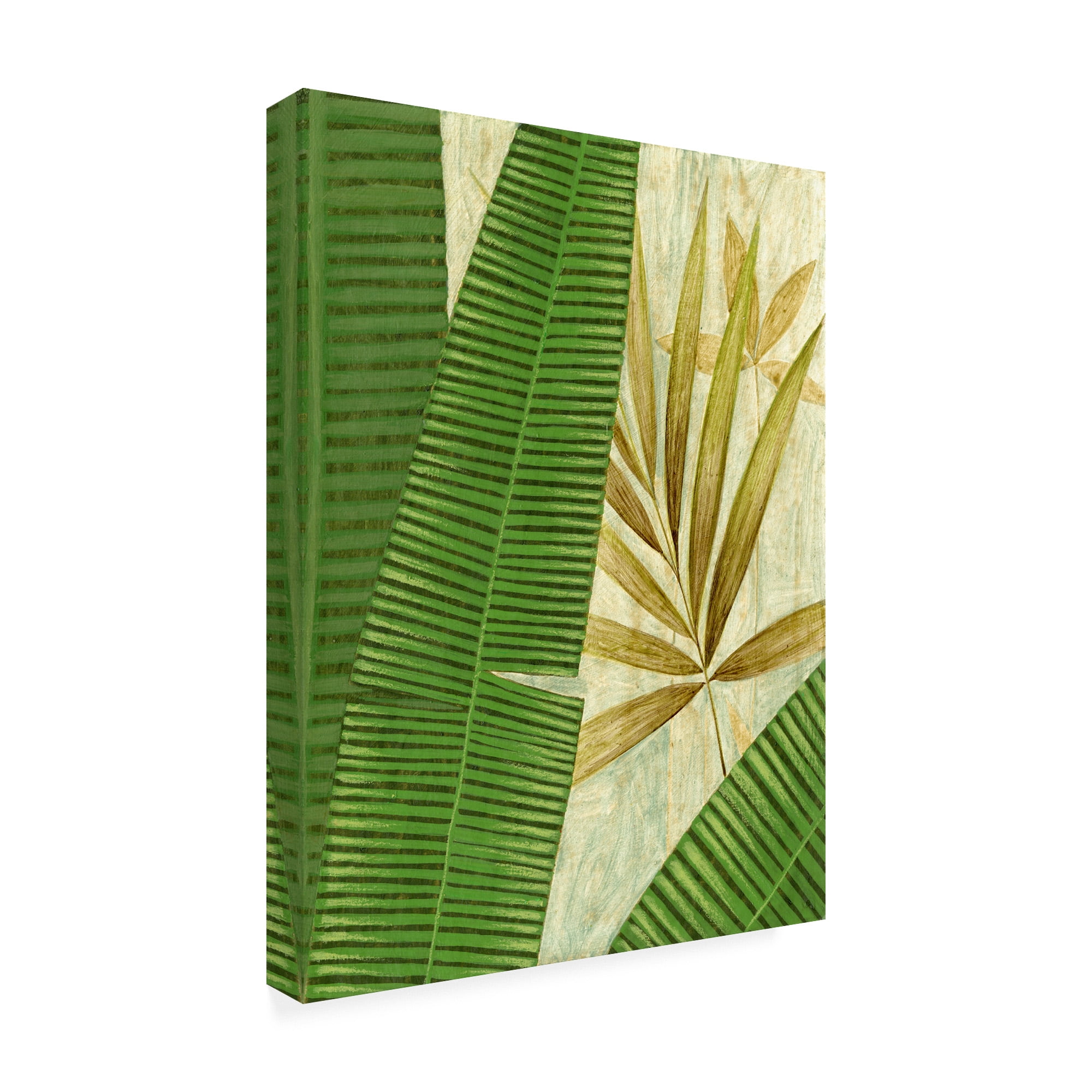 Trademark Fine Art 'Tall Wide Palm' Canvas Art by Pablo Esteban