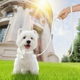 thumbnail image 6 of Minzimin Dog Collar and Leash Set with Bowtie, Soft & Cute Puppy Collar, Cotton Puppy Collar with Adjustable Metal Buckle for Small, Medium Dog, 6 of 9