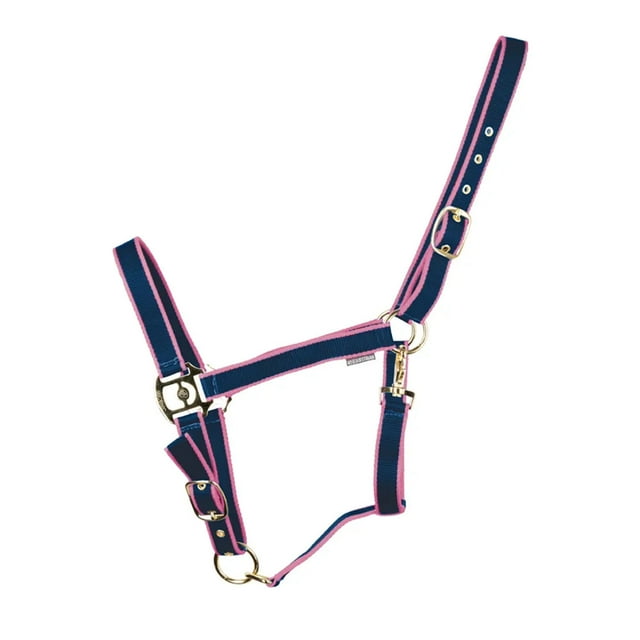 HYCONIC Collier de Cheval