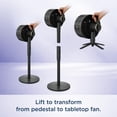 thumbnail image 3 of Shark FlexBreeze - Ventilador para interiores y exteriores, con cable e inalámbrico, pedestal oscilante y mesa 2 en 1, batería de hasta 24 horas, FA202, 3 of 5