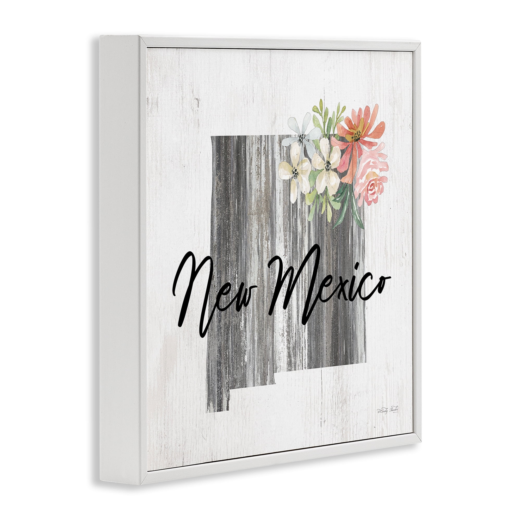 Stupell Industries Shabby Chic New Mexico Botanical & Floral Painting White Framed Art Print Wall Art, 12 x 12