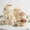7/10/15/20cm*2 8pcs, variant on Foldable Paper Buffet Table Risers Set with Acrylic Top, Cardboard Cylinder Food Display Stands for Cake, Cupcake and Dessert Party Decor