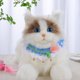 thumbnail image 5 of Pañuelo de crochet de un color, collar de punto para mascotas con perla, collar de gato suave, pañuelo para perro, hecho a mano, lindo y ligero collar con babero para mascotas, disfraz de mascota, 5 of 5