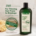 thumbnail image 4 of Champú y acondicionador Thicker Fuller Hair 2 en 1, 355 ml, para hombres, 4 of 9