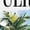 WHITE, variant on Instant Message - Puerto Rico Beach Cropped Graphic T-Shirt