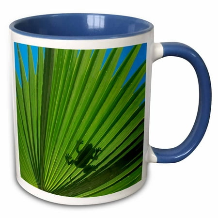 3dRose USA, Florida. Palm fronds with frog shadow, Santa Rosa island. - Two Tone Blue Mug,