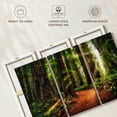 thumbnail image 6 of Elephant Stock Sunrise At Jedediah Redwoods State Park Wall Art - Horizontal Multi Panel Canvas - Living Room Wall Decor - Nature Multi Panel - Brown And Orange Decor By Scott Stulberg - 65" x 42", 6 of 8