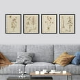 thumbnail image 2 of PixonSign Framed Wall Art Sepia Vintage Classic Flower Art, Set of 4 Collage Floral Wall Decor Prints, Nature Wildeflowers Wall Décor, Plants Rustic Vintage Posters for Home - 11"x14" Black, 2 of 5