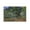 Unframe-style, variant on The Bodmer Oak, Fontainebleau by Oscar Claude Monet Painting Poster Canvas Poster Wall Art Picture Prints Hanging Photo Gift Decor Home Posters Artworks 12x18inch(30x45cm)