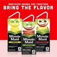 Minute Maid Apple Fruit Juice, 6 fl oz, 8 Juice Boxes