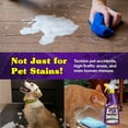 thumbnail image 5 of Wizards Pet Stain Remover & Odor Eliminator – 22 oz Enzyme-Free Spray for Carpets, Furniture & Upholstery – Pet-Safe & Eco-Friendly Formula with Fresh Scent for Tough Stains & Smells, 5 of 7