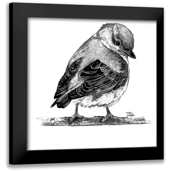 Pinto, Patricia 12x12 Black Modern Framed Museum Art Print Titled - Black And White Baby Bird I