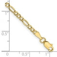 thumbnail image 2 of Primal Gold 14 Karat Yellow Gold 2.5mm Semi-Solid Figaro Chain Anklet, 2 of 2