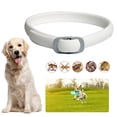 thumbnail image 2 of Collar Antipulgas Ajustable Antimosquitos Silicona Impermeable Desparasitación Mascota (A), 2 of 3