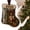 Grey, variant on 2026 New Cash Clip Christmas Tree Ornament, Clear Acrylic Money Holder with Rolled Bill Slot, Hanging Xmas Decoration, for Graduation, Birthday, Back to School Stuffer(C)