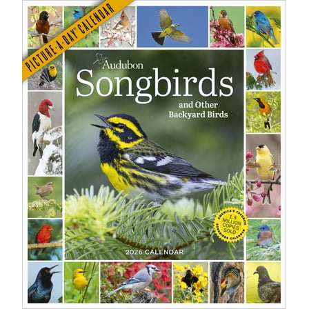 Audubon Songbirds and Other Backyard Birds Picture-A-Day(r) Wall Calendar 2026, (Paperback)