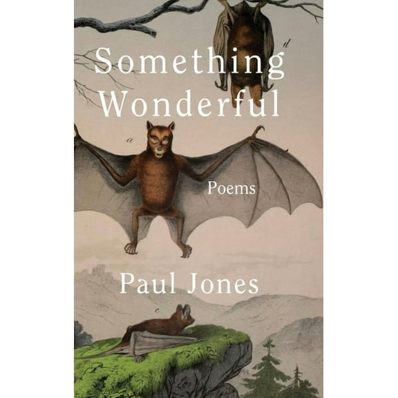 Something Wonderful (Hardcover)