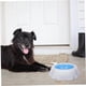 thumbnail image 5 of Ceramic cooling bowl for dogs and cats, nonslip pet water bowl for summer, compact and lightweight, keeps water cool., 5 of 5