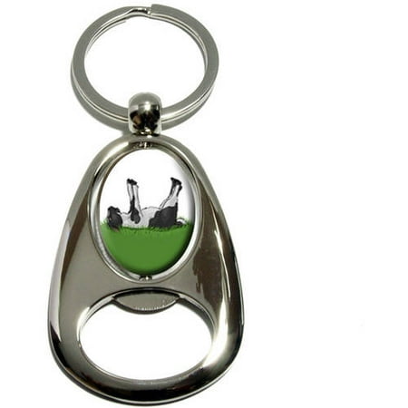 Fainting Goat, Myotonic, Chrome Plated Metal Spinning Oval Design Bottle Opener Keychain Key