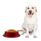 thumbnail image 5 of Plato Para Perro Tazón Grande Rojo Importadora La Merced Aluminio Antiderrapante, 5 of 5