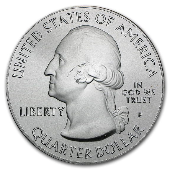 Burnished 5 oz Silver ATB Random Park BU (Scruffy)