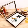thumbnail image 2 of Specimen Display Box Specimen Case Specimen Holder Specimen Frame Case shadow box frame, 2 of 7
